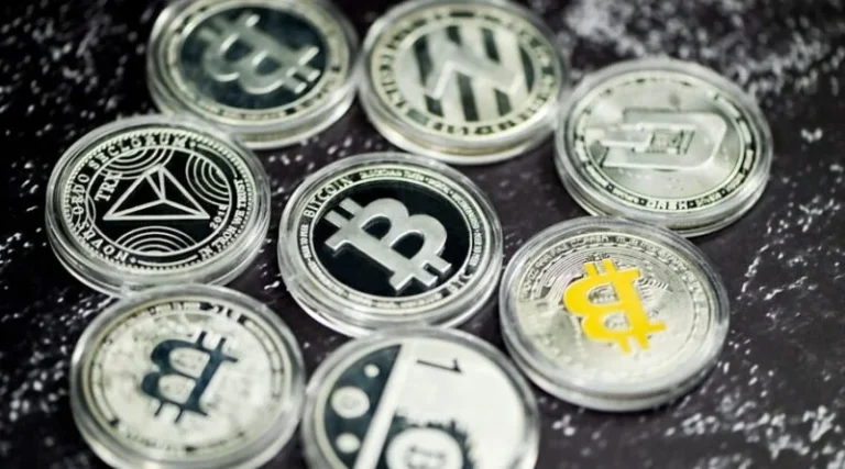 Analysing the Volatility of Cryptocurrencies: Causes and Effects
