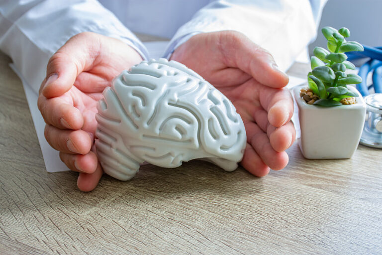 Understanding the Prefrontal Cortex: The Brain’s Decision-Making Powerhouse